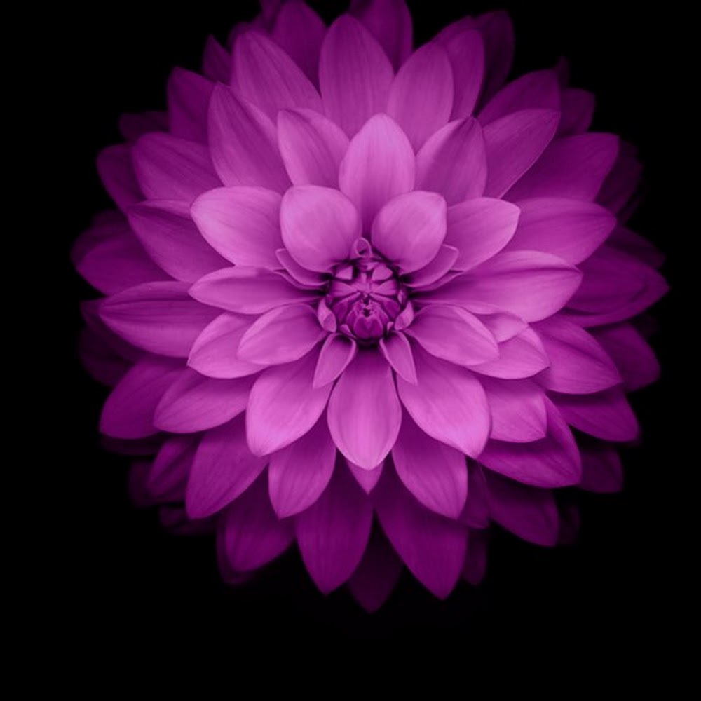 Meet your Posher, Edwin